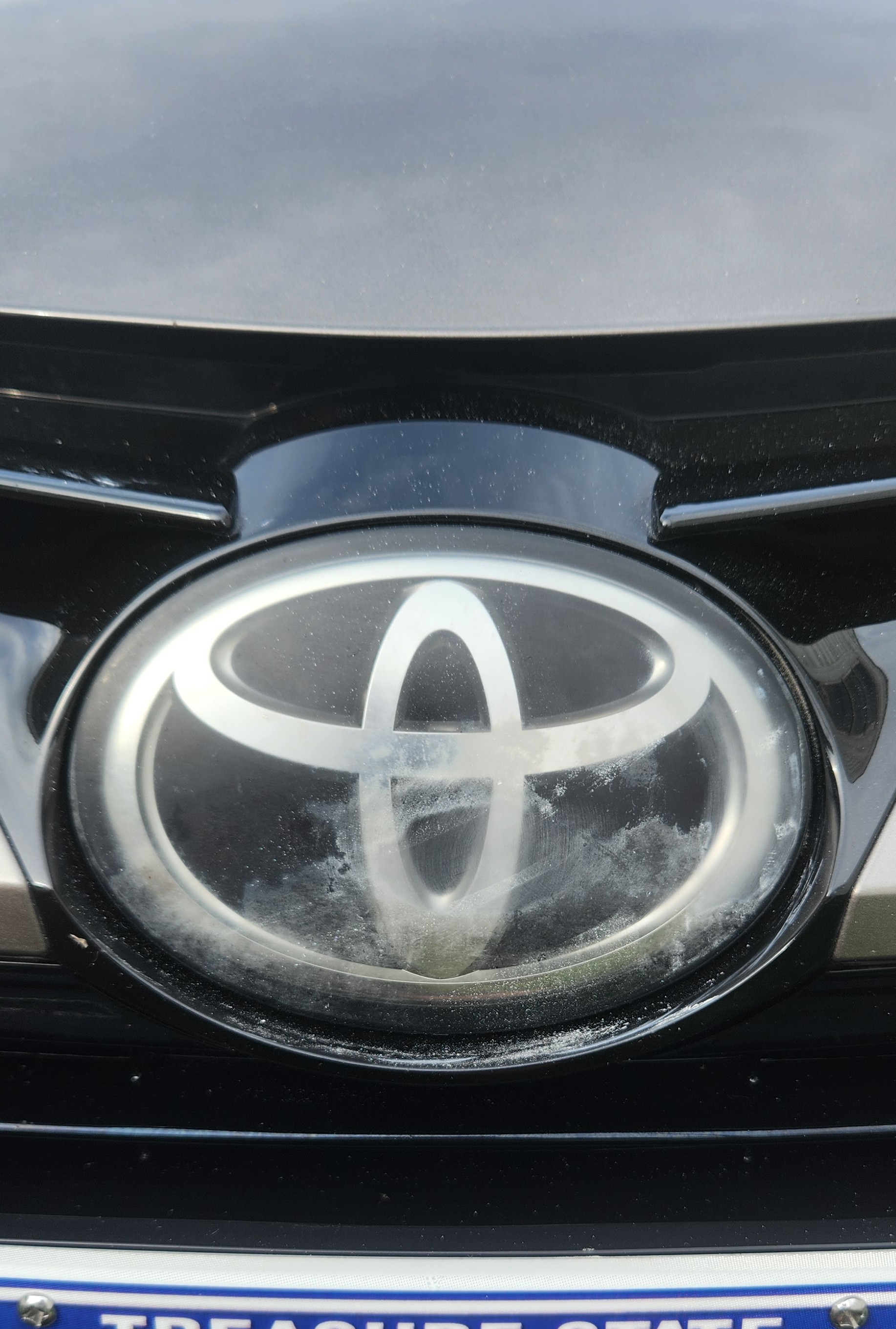 Front Emblem showing oxidation that hadnt been touched.